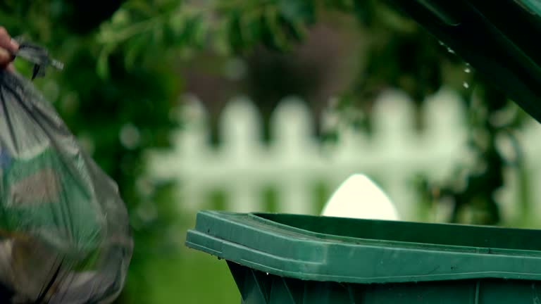 Best Shed Removal  in Fraser, MI